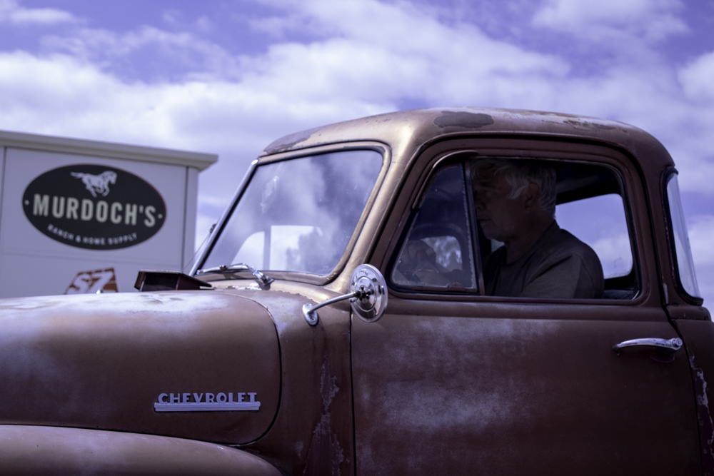 An older gentleman and his dog sit in an old Chevy pickup.